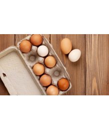 Vitaleggs tojás dobozos 10db M-es méretû