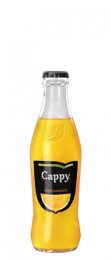 Cappy gyümölcslé 0,25l narancs üveges